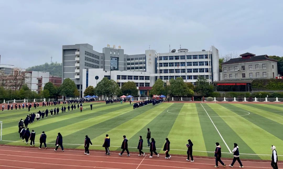 1648099505552404.jpg 6.jpg